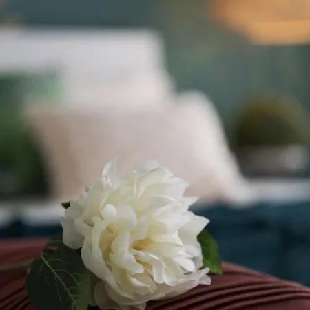 公寓 25trilocale Vista Mare E Amazzonia Style *