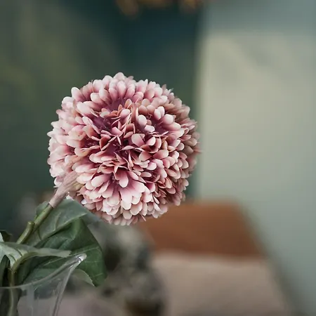 25trilocale Vista Mare E Amazzonia Style Diano Marina