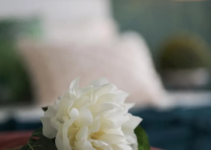 公寓 25trilocale Vista Mare E Amazzonia Style *