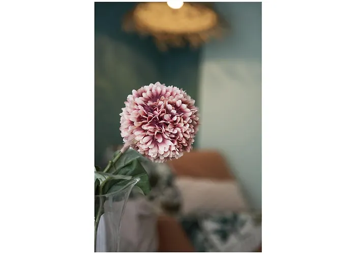 25trilocale Vista Mare E Amazzonia Style *