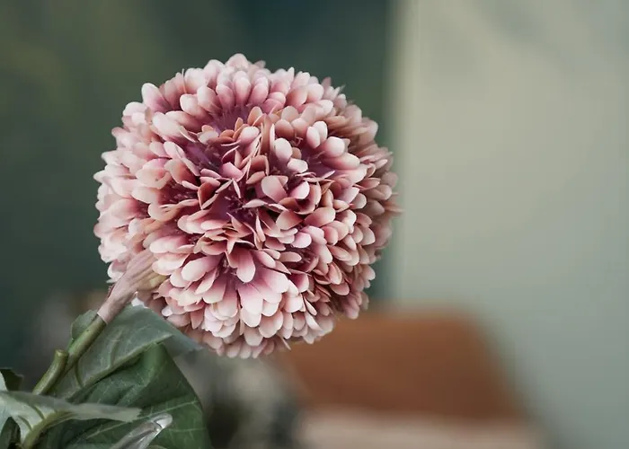 25trilocale Vista Mare E Amazzonia Style Diano Marina